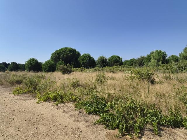Terrain 274 m²