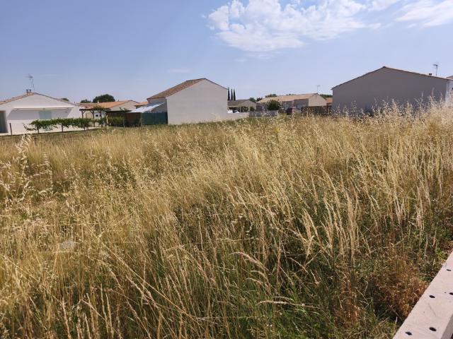 Terrain 275 m2 saujon