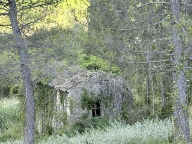 Terrain