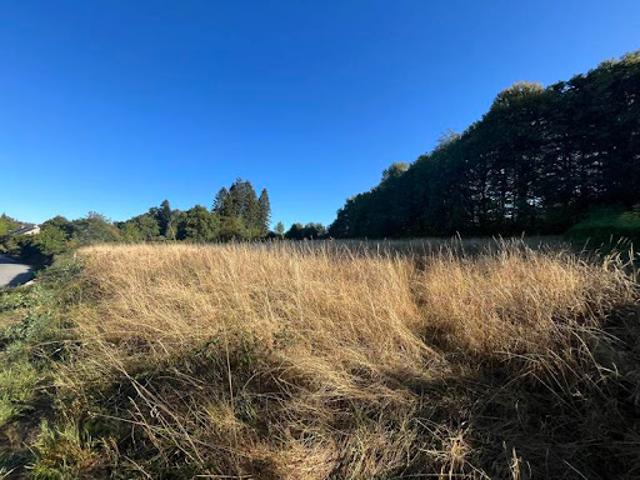 Terrain 2803 m2