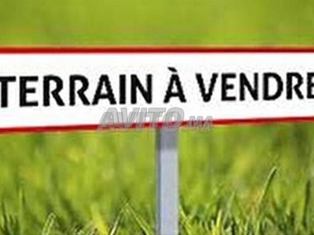 Terrain 280 plage mahdia