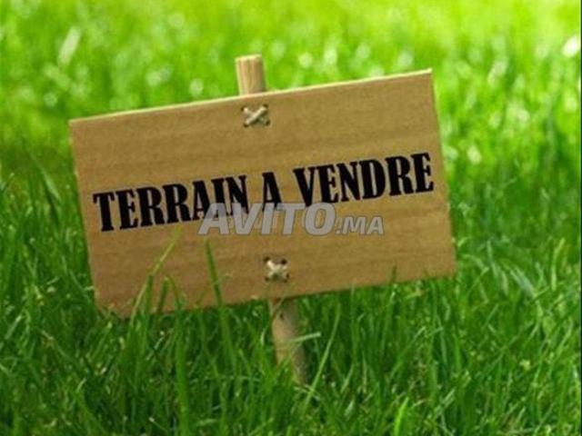Terrain 280m Salé