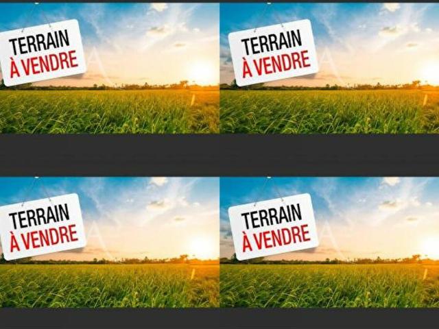 Terrain