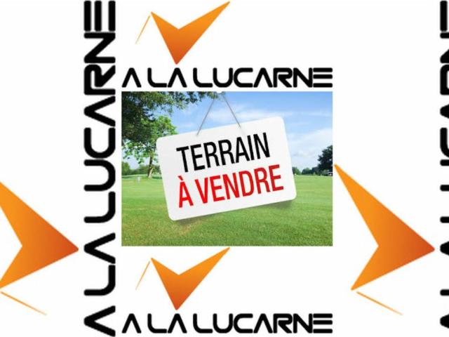 Terrain