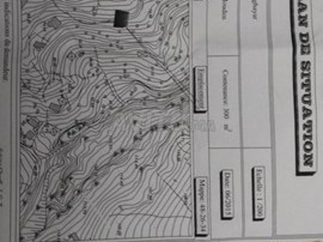 Terrain