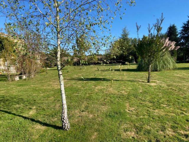 Terrain 2950 m2 faleyras
