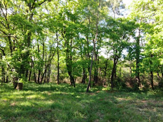 Terrain 2975 m2