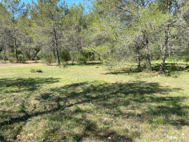 Terrain 2000 m2