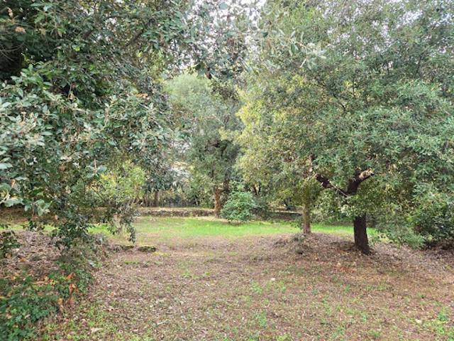 Terrain 2000 m2