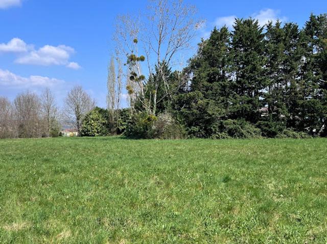 Terrain 2000 m2