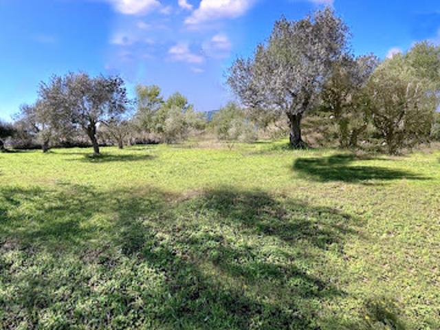 Terrain 2000 m2