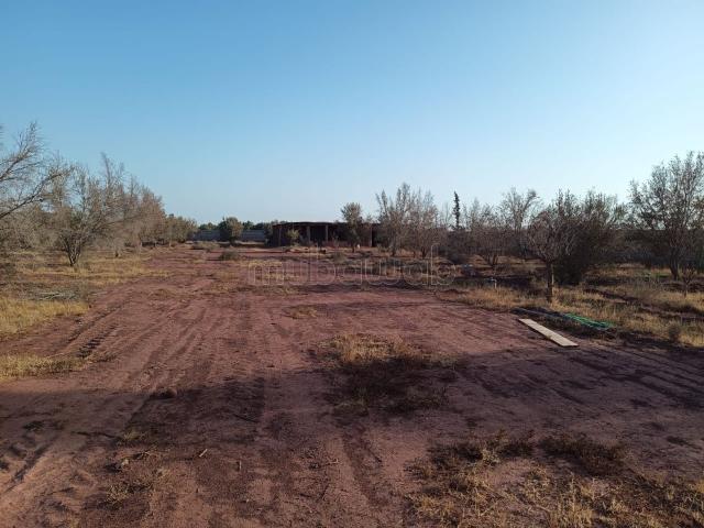 Terrain 2000m