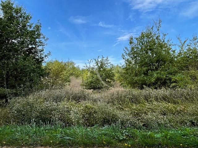 Terrain 2029 m2