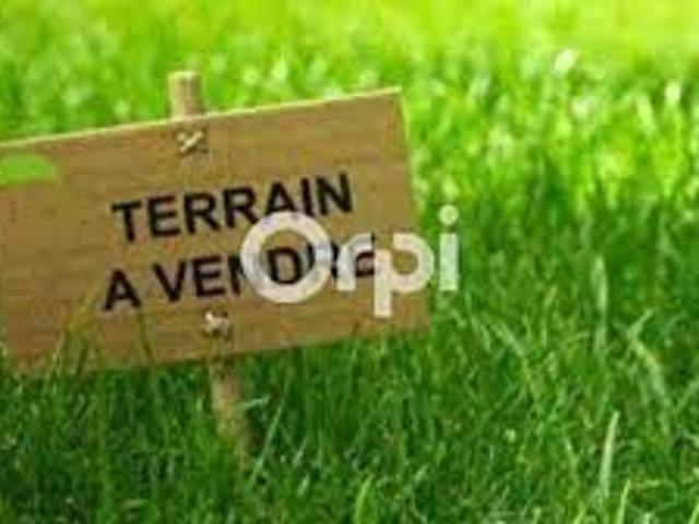 Terrain 2031 m2