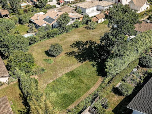 Terrain