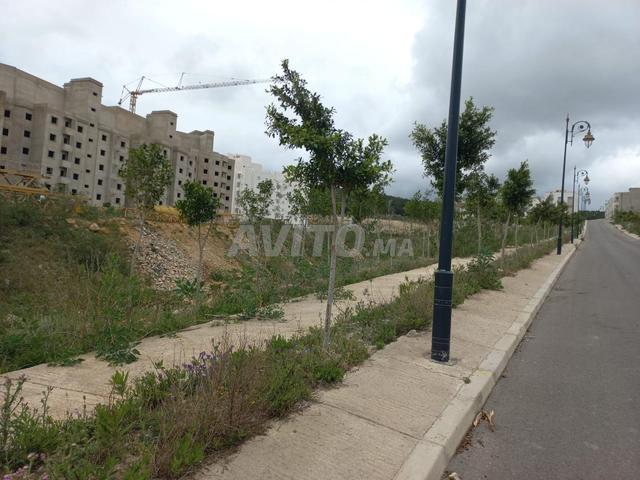 Terrain 209m² Titré à vendre lotissement Tamuda, hypothéqué