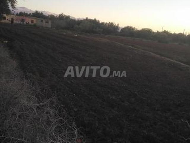 Terrain 2100 m2