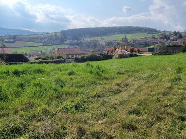 Terrain