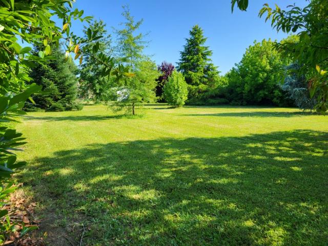 Terrain 2135 m2 cours de pile