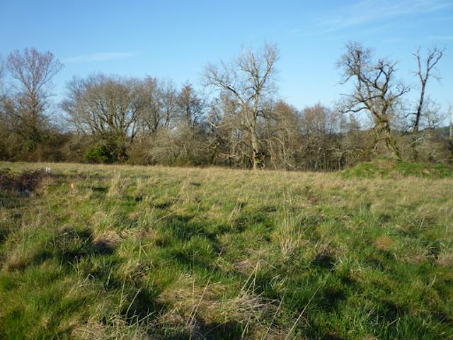 Terrain 2200 m2