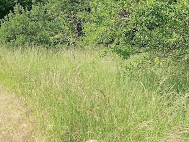 Terrain 2200 m2