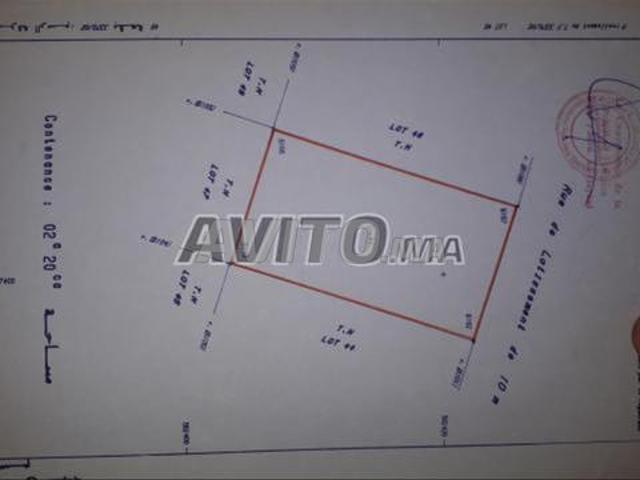 Terrain 220 zone villa centre Saidia