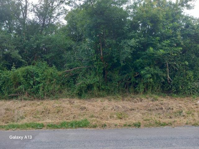 Terrain 2220 m2 montendre