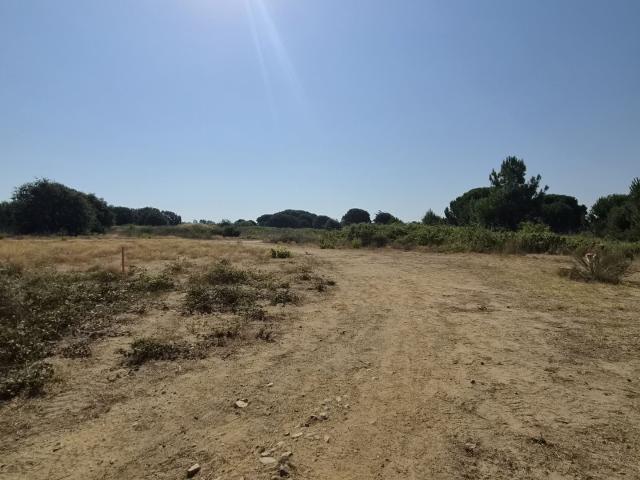 Terrain 222 m²