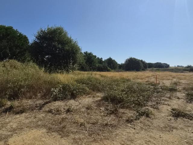 Terrain 222 m²
