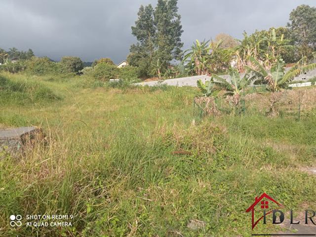 Terrain 2231 m2