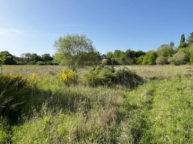 Terrain 2255 m2