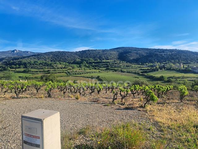 Terrain 2262 m2