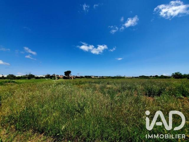 Terrain 226 m²