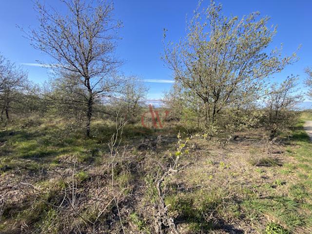 Terrain 2281 m2