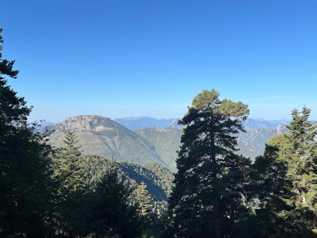 Terrain 2285 m2