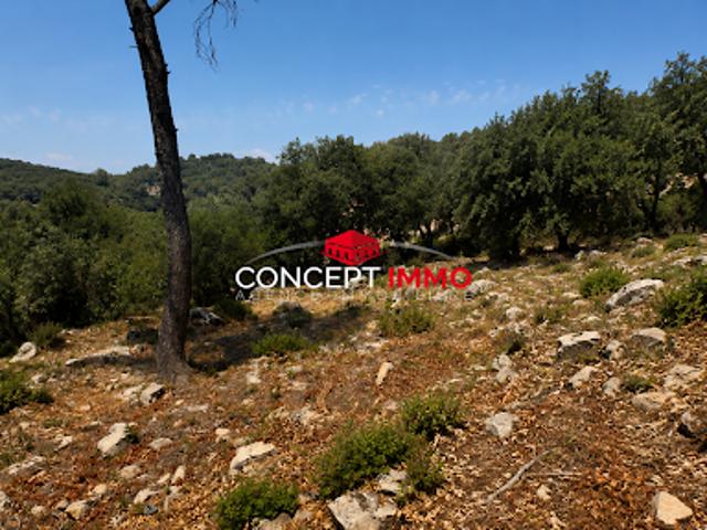 Terrain 2302 m2