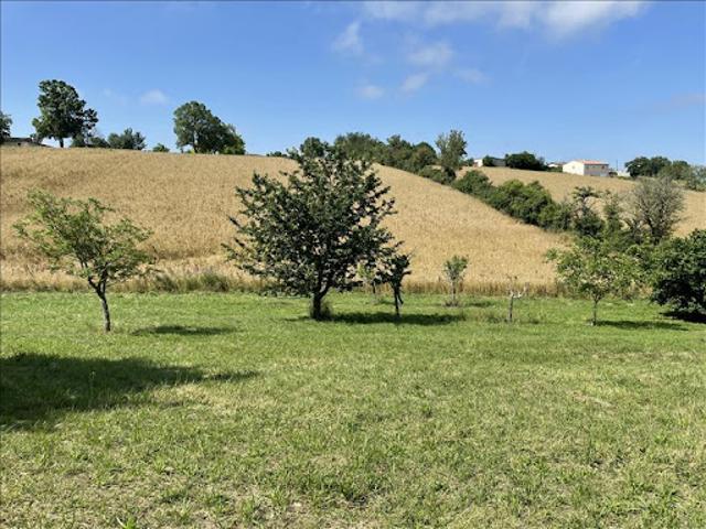 Terrain 2308 m2