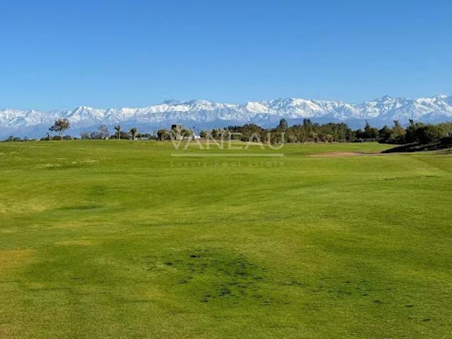 Terrain