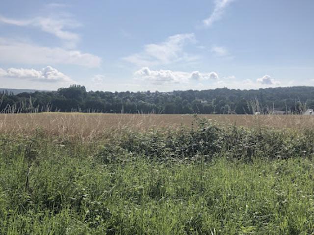 Terrain 2330 m2