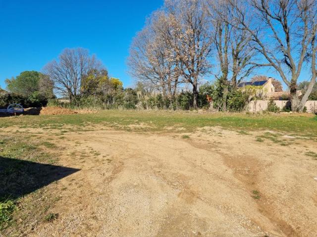 Terrain