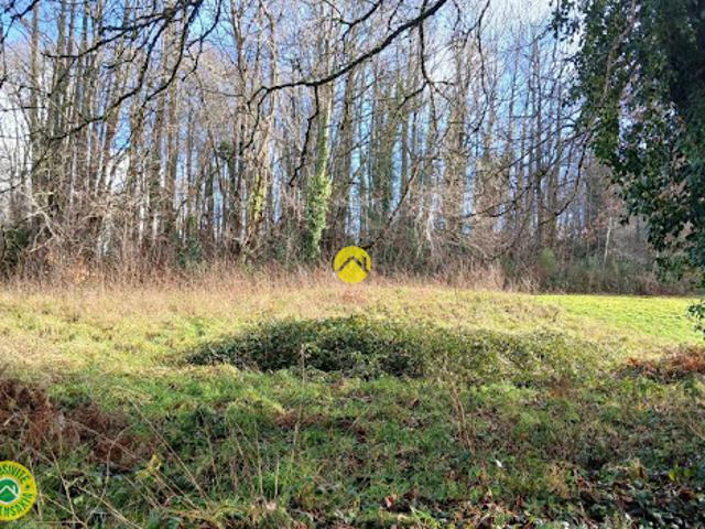 Terrain 2340 m2