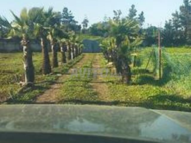 Ferme un hectare