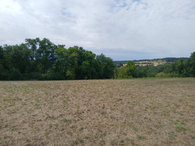 Terrain 23620 m2 st martin de riberac