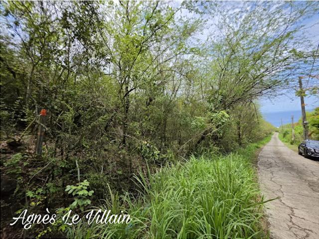 Terrain 2382 m2