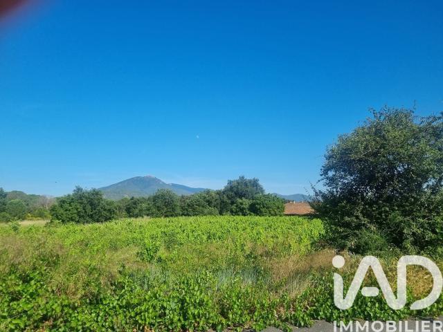 Terrain 239 m²