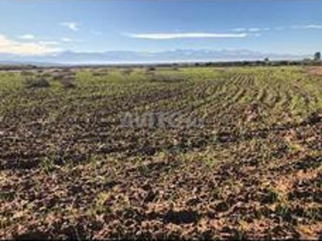 Terrain 2.14 ha près Marrakech je suis proprié