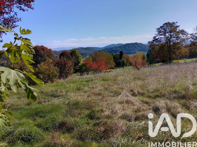 Terrain 2 175 m²