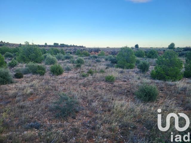 Terrain 2,18 hectares