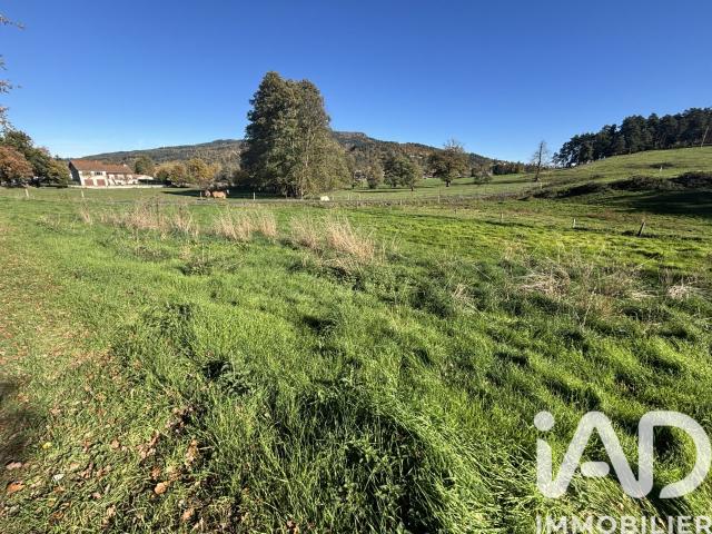 Terrain 2 194 m²
