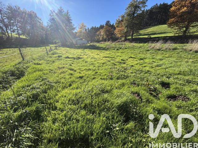 Terrain 2 194 m²